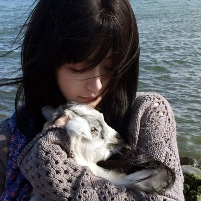 报告我的上司有点甜